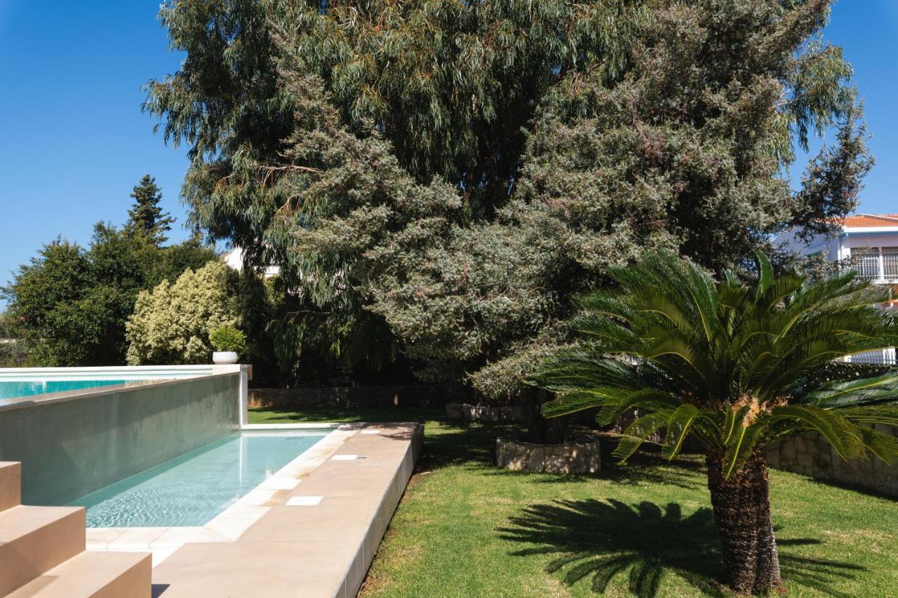 Cedar Tree Villa Kounoupidhianá Exterior foto